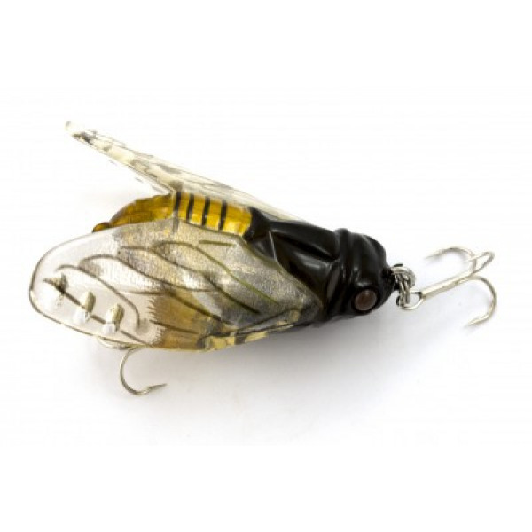 Drown Cicada